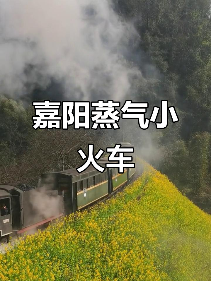 2023年3月3日,四川犍为嘉阳蒸汽小火车穿越时光
