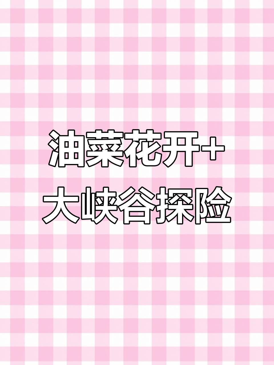 3月29日汉中油菜花盛开，石泉大峡谷二日游
