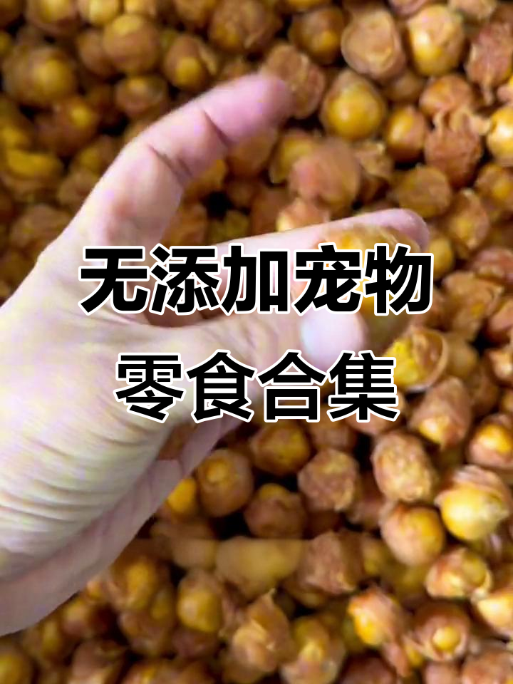 宠物零食大揭秘:无佐料健康美味,骨肉相连、磨牙棒全都有