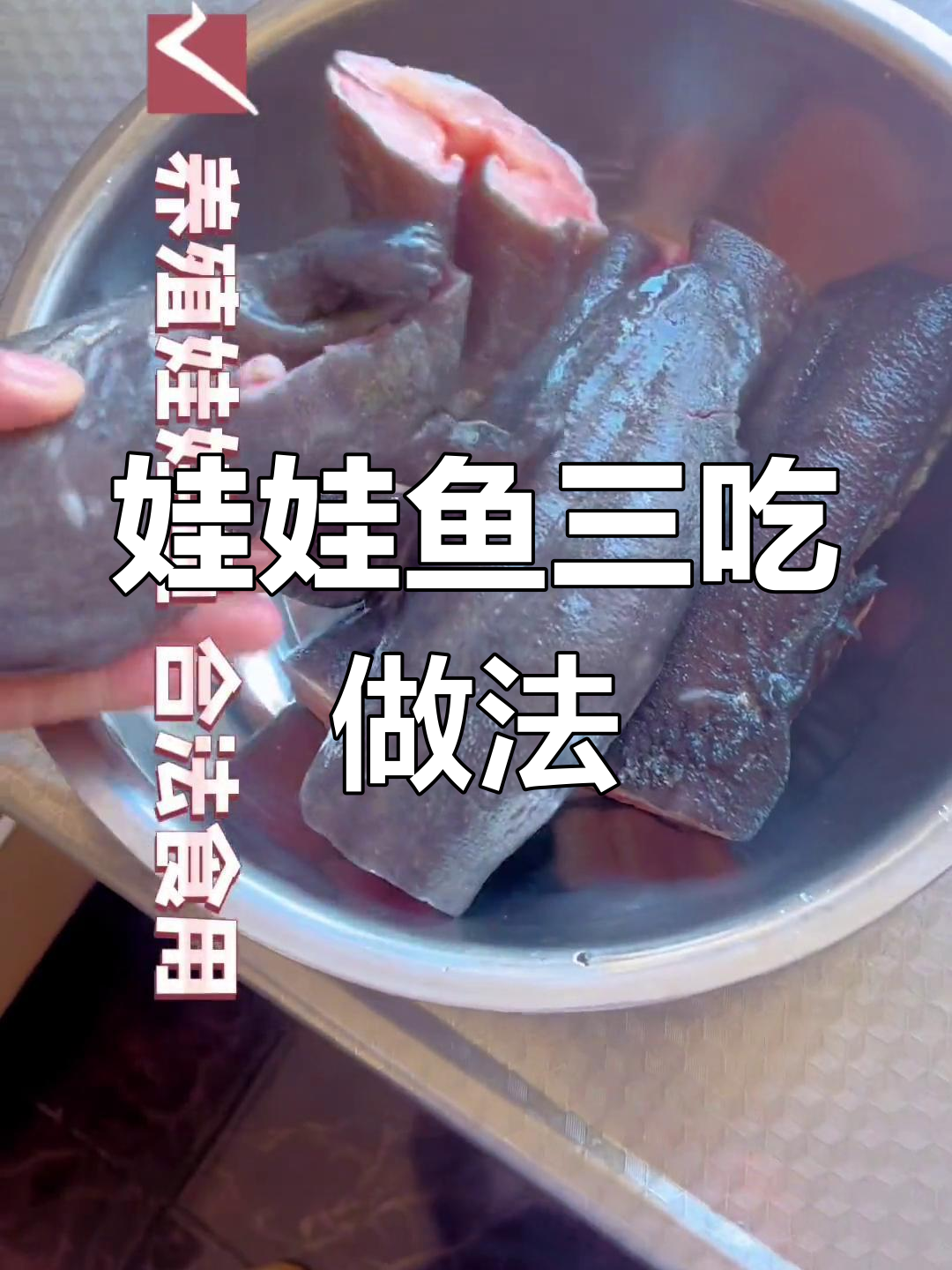 娃娃鱼三吃大揭秘,清蒸、汤、红烧全搞定