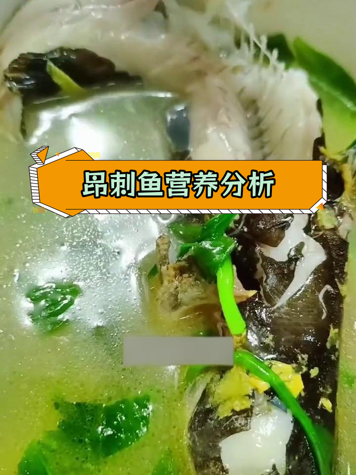 昂刺鱼热量与营养成分解析,100大卡有多少