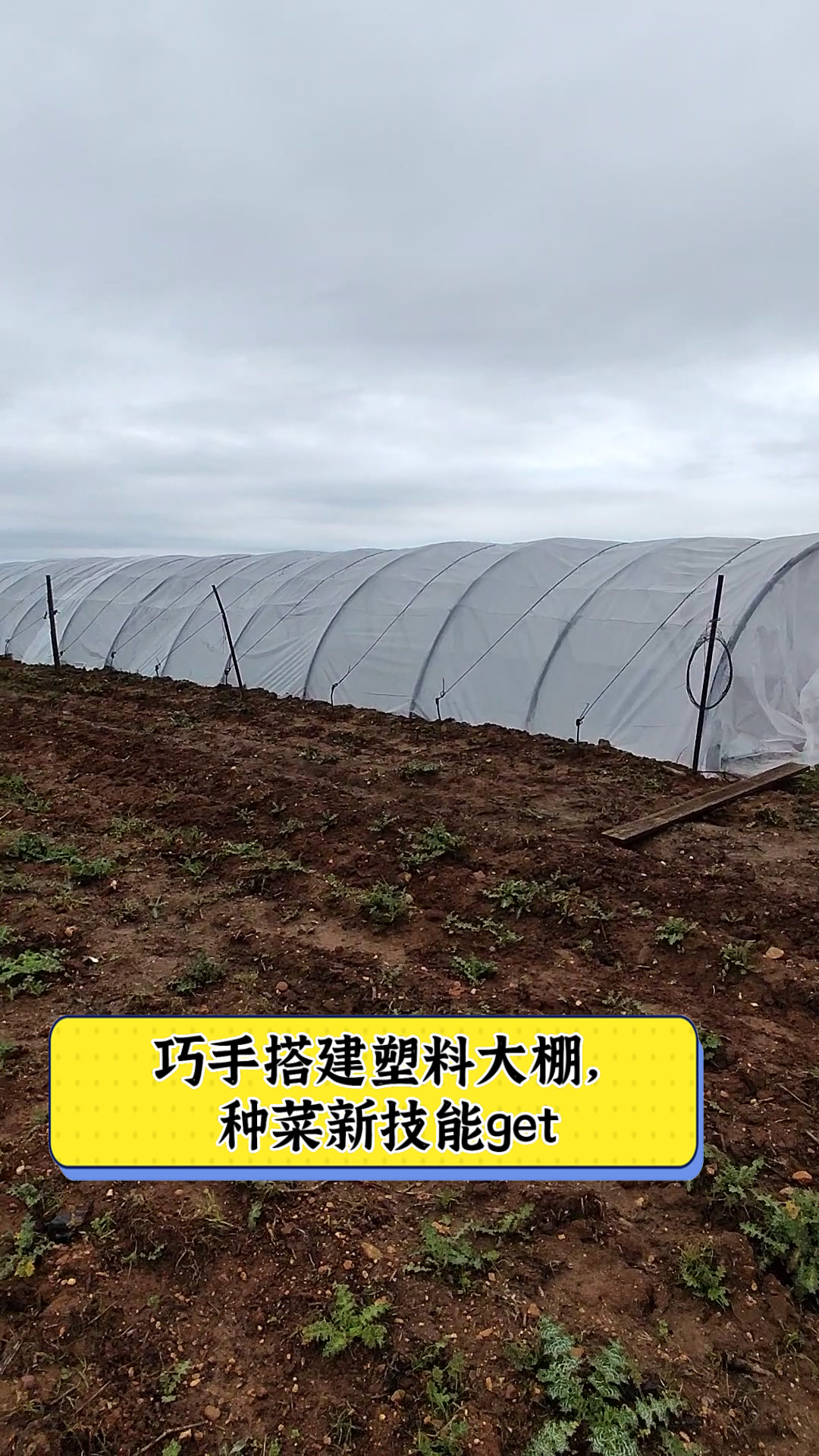 巧手搭建塑料大棚，种菜新技能get