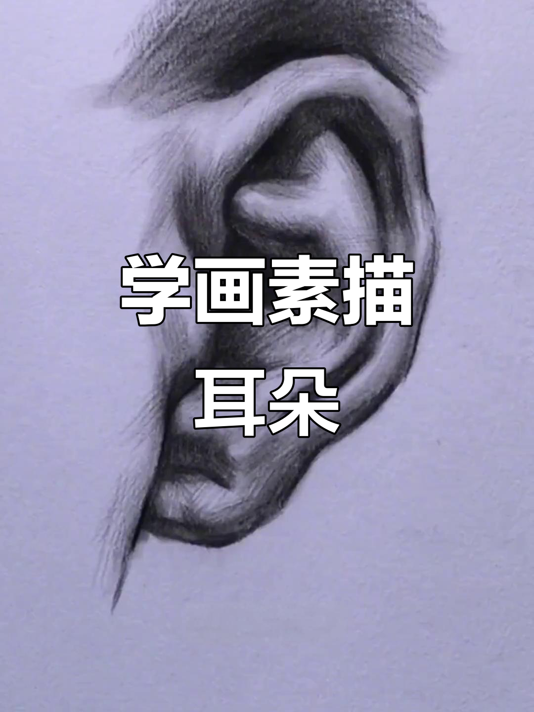 素描耳朵从零基础到立体感,详细步骤解析