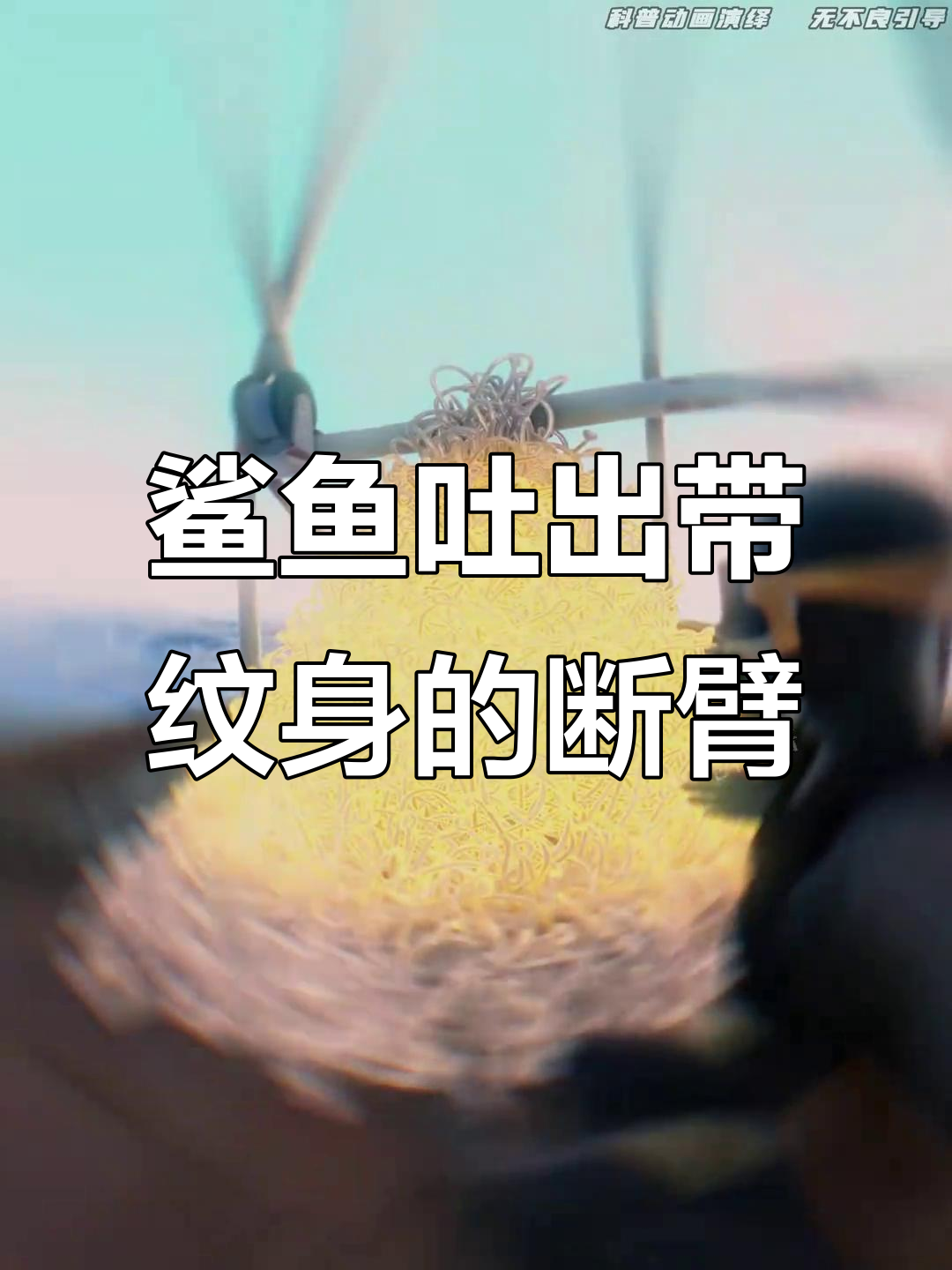 鲨鱼吞断臂,警方竟通过纹身锁定罪犯!