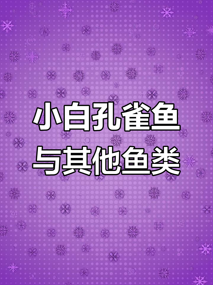 斯里兰卡小白孔雀鱼与各种热带鱼的介绍