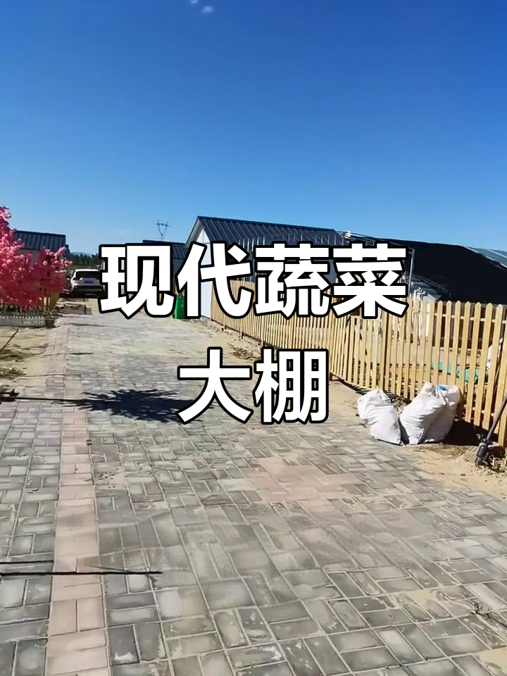 智能温室与智慧农业:蔬菜大棚的未来