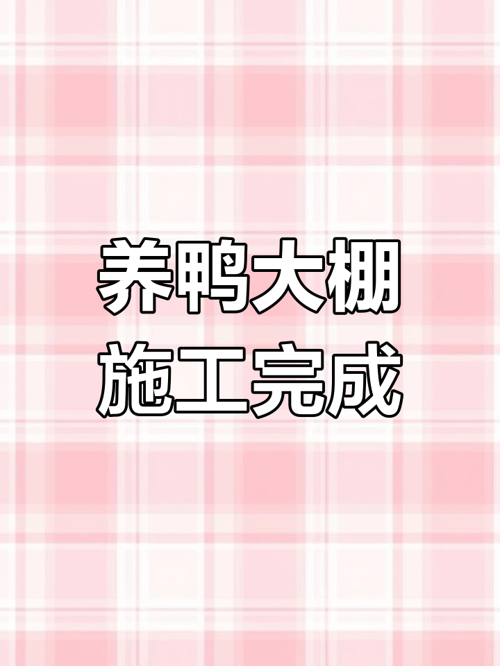 12米宽30米长养鸭大棚搭建效果展示
