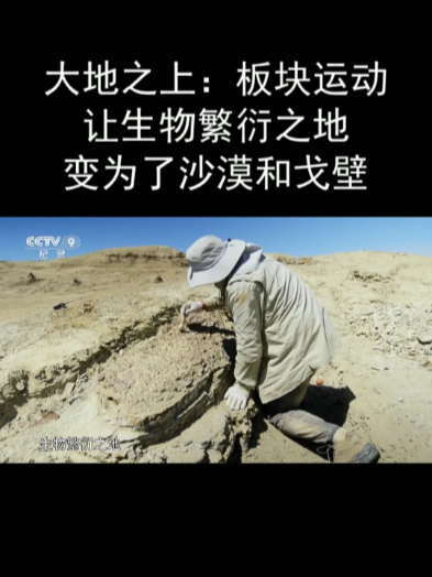 大地之上:板块运动让生物繁衍之地变为了沙漠和戈壁