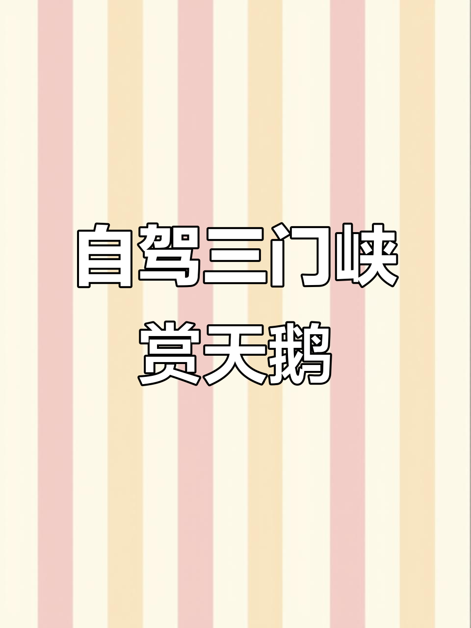 三门峡自驾游攻略:从黄河大坝到温泉酒店,畅享天鹅湖美景