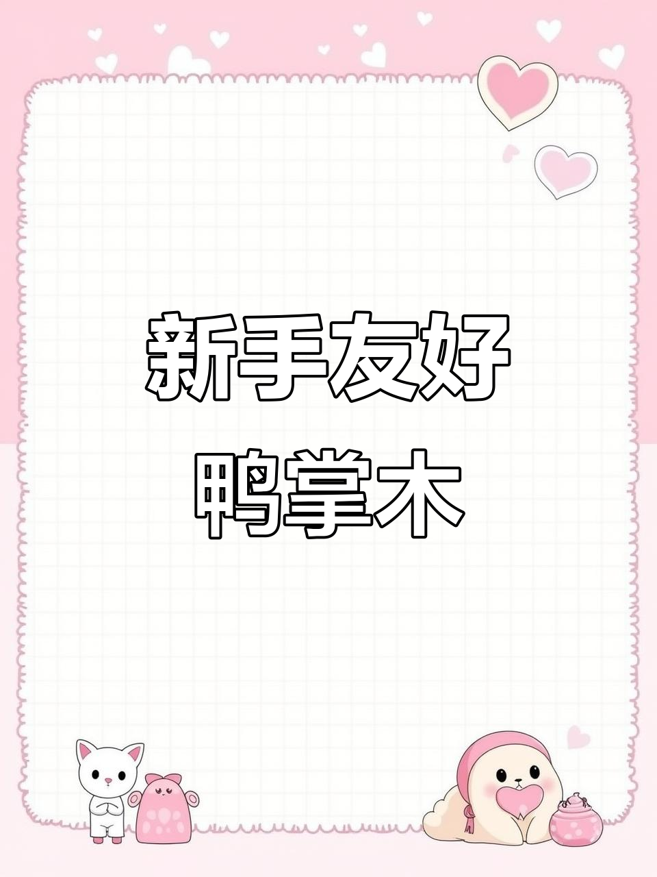 鸭掌木:新手友好的盆栽,寓意八方来财