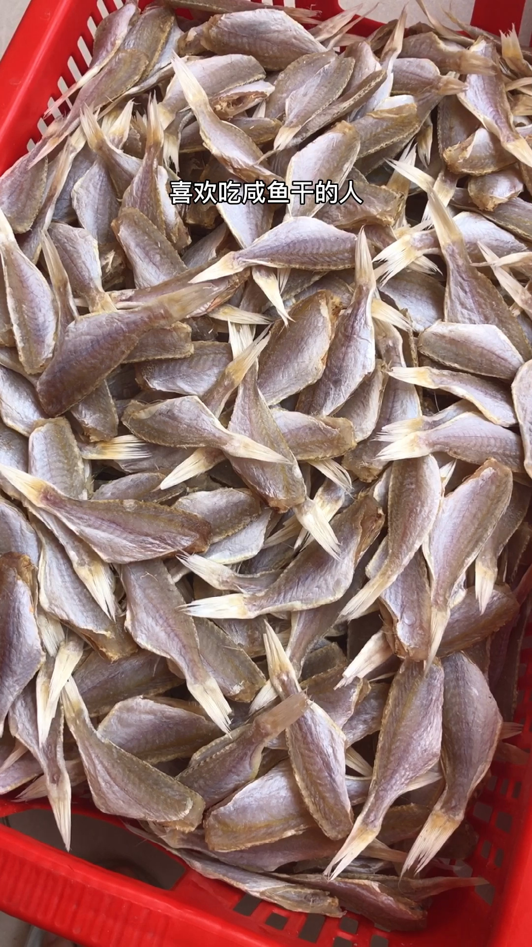 喜欢吃咸鱼干的朋友一定要试试这个红线鱼