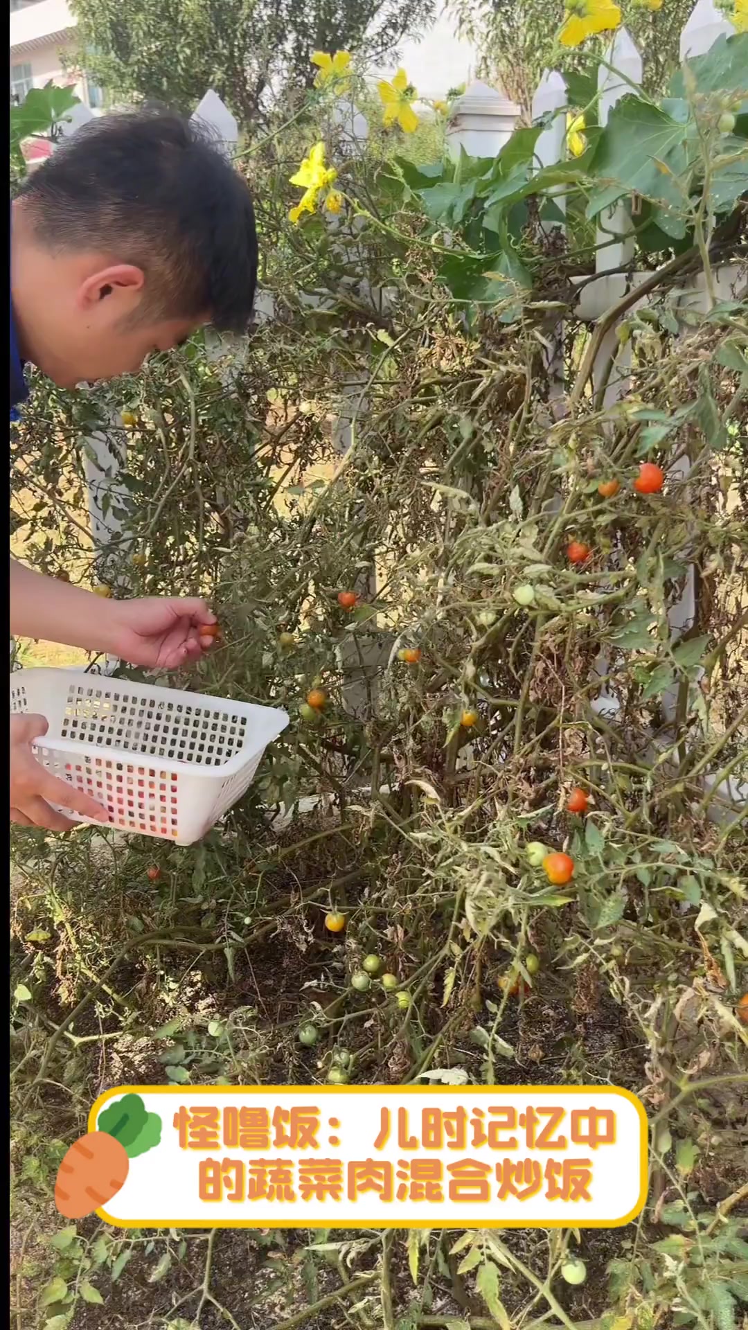 怪噜饭:儿时记忆中的蔬菜肉混合炒饭