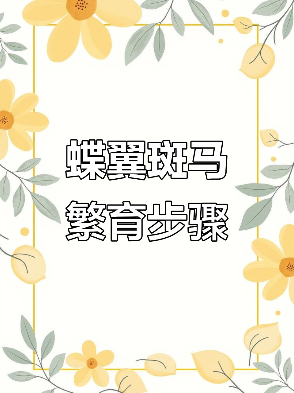 蝶翼斑马繁殖技巧:如何分辨公母并操作卵生过程