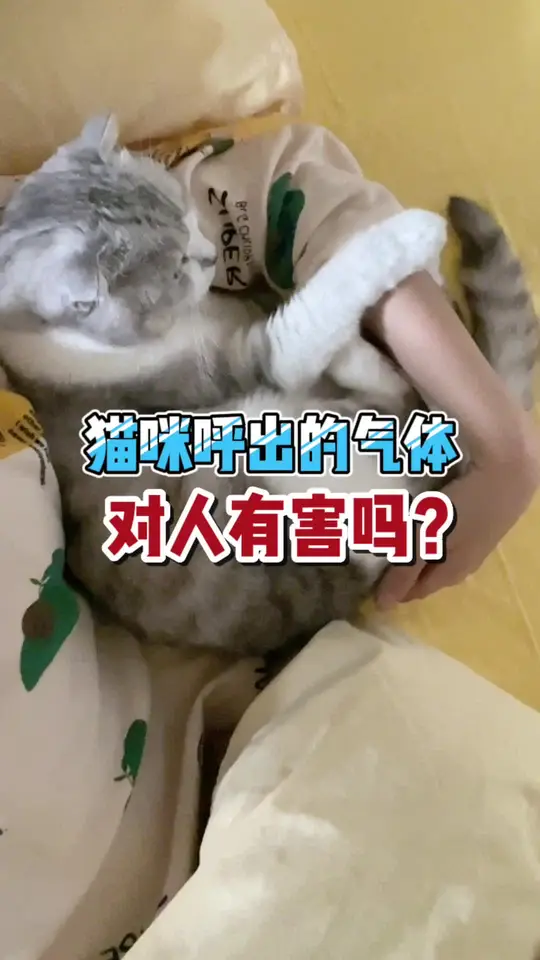 猫咪呼出气体对人有害吗？小孩能和猫睡吗？