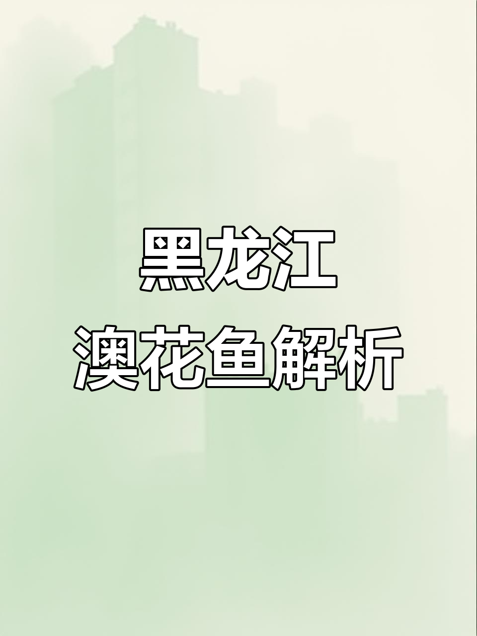 黑龙江澳花鱼与南方桂鱼的对比，肉质鲜美无刺