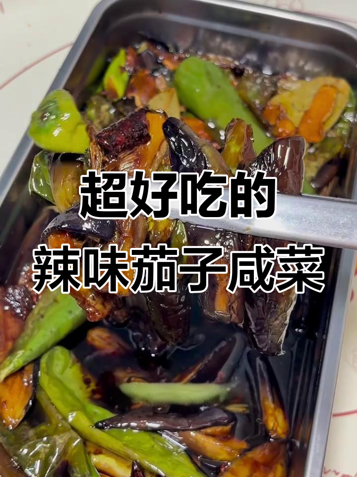 茄子辣椒咸菜,配粥拌饭超下饭