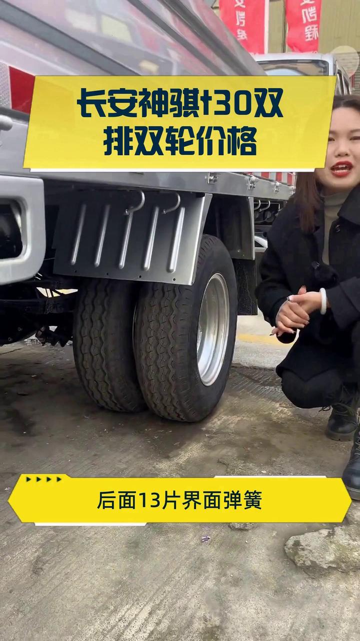 长安神骐t30双排双轮价格