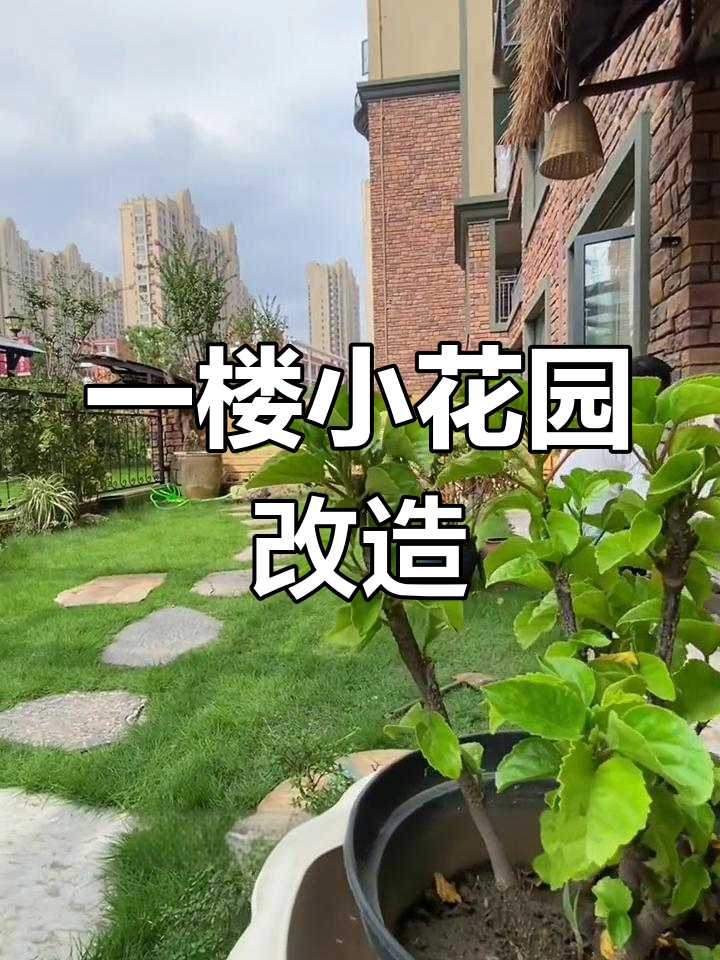 小巧实用的一楼花园设计,适合南北种植