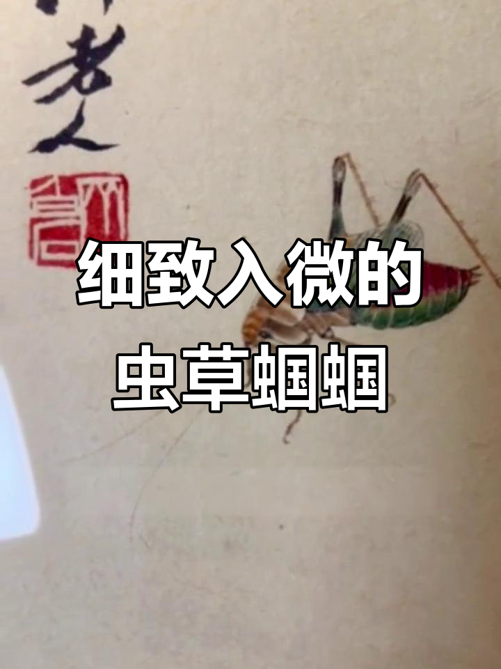 齐白石虫草蝈蝈画,细节逼真让人惊叹