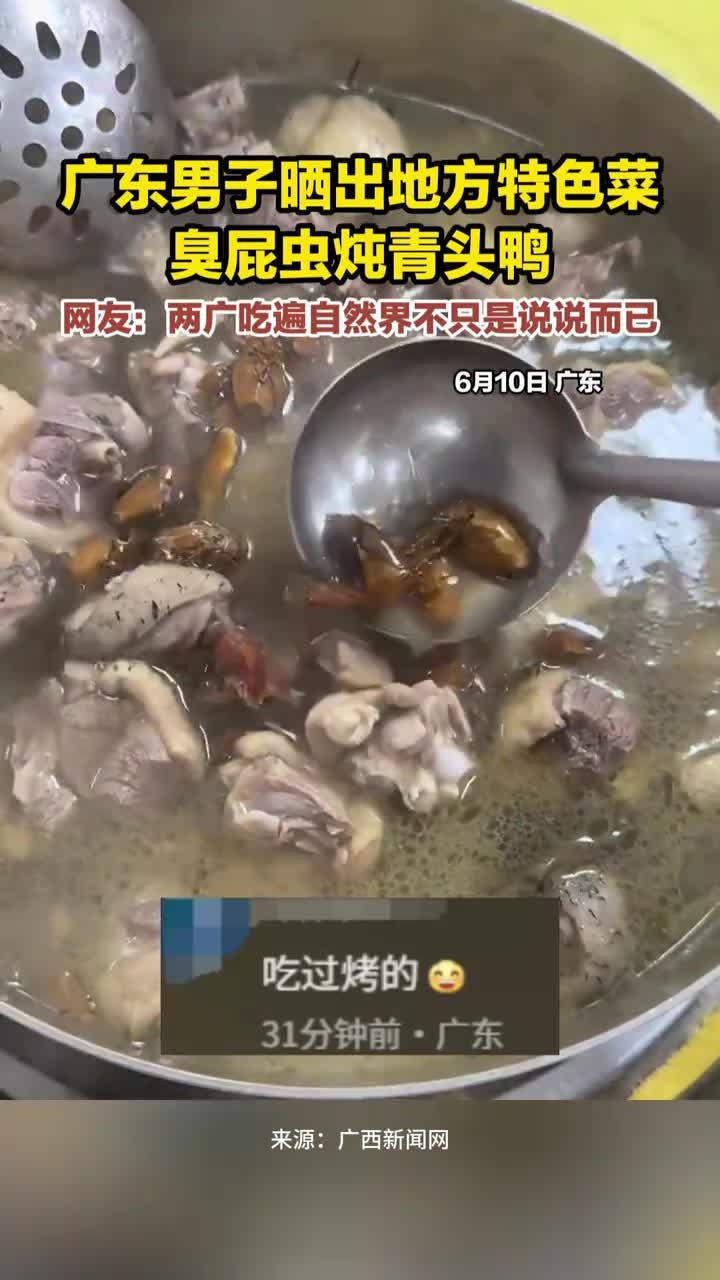 广东男子晒出地方特色菜臭屁虫炖青头鸭，网友：两广吃遍自然界不只是说说而已