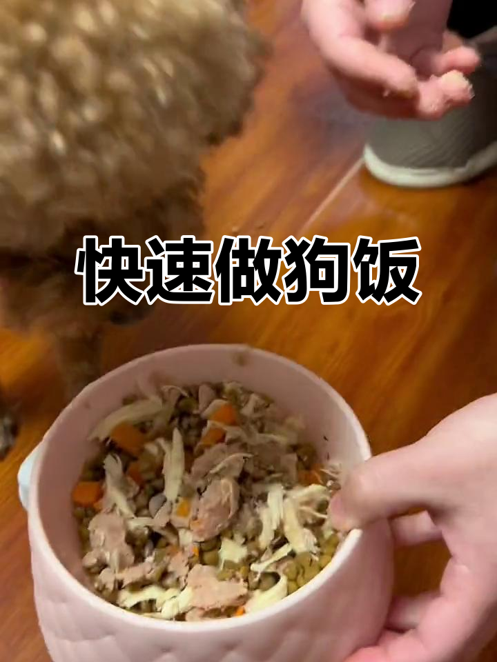 10分钟搞定狗狗丰盛晚餐,鸡胸肉、胡萝卜搭配更诱人