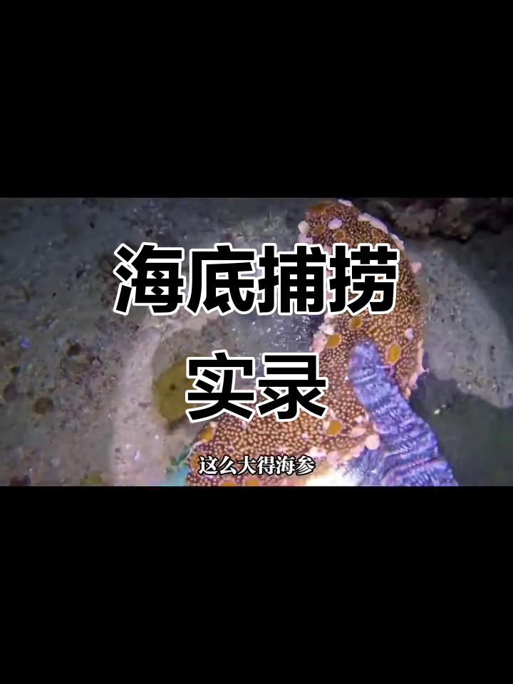渔民海底捕鱼大作战,海参、山羊鱼一网打尽