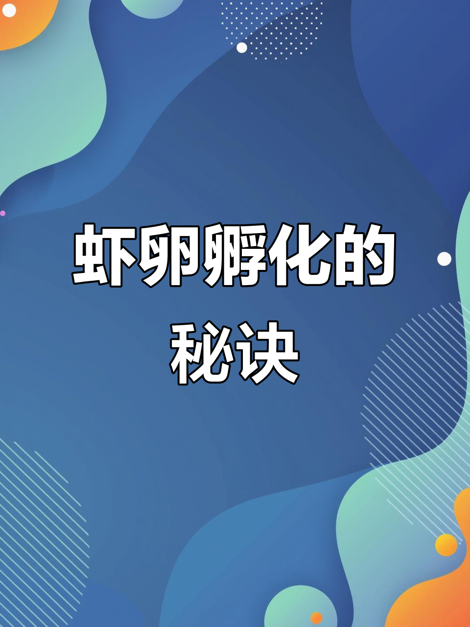 孵化虾卵,关键在于水、盐与气量控制