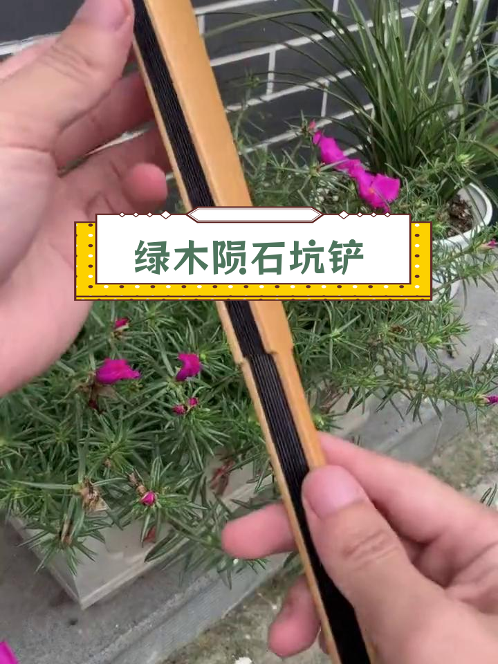 浙派制扇匠人游巍:绿木陨石坑牛头铲的匠心传承