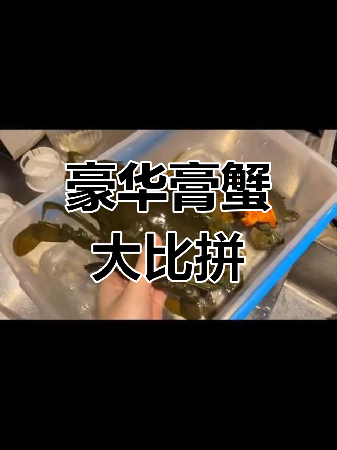 四种膏蟹,最贵近2000元一斤,黄油蟹堪称海鲜中的奢侈品
