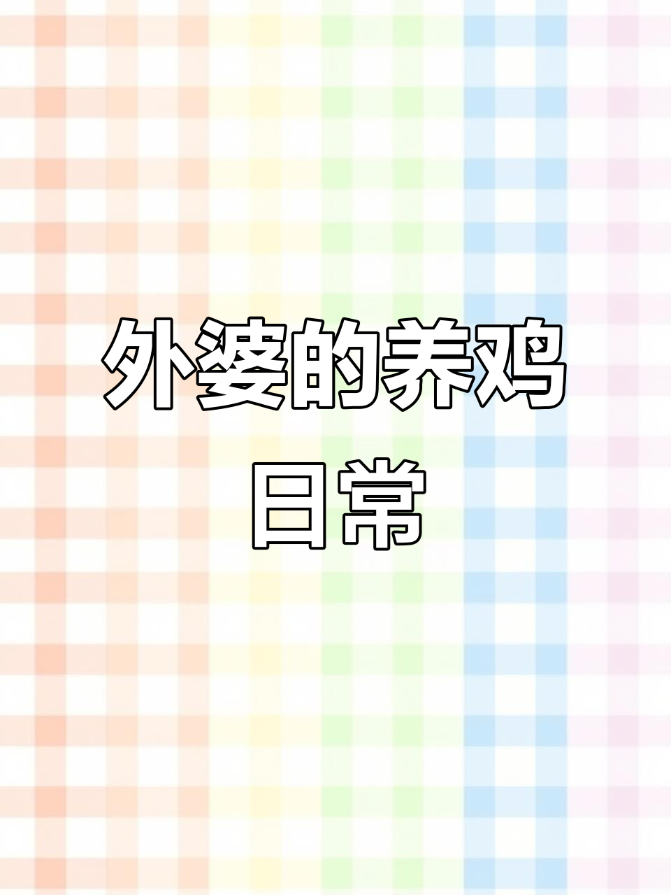 每天喂鸡看鸡,380大红公鸡成长记