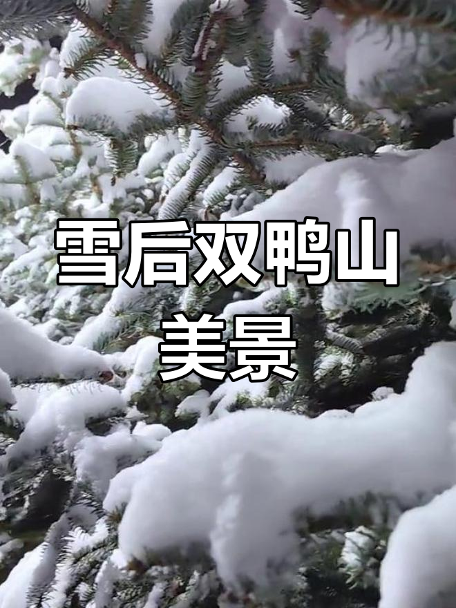 双鸭山雪景:市政广场与人工湖的冬日奇观
