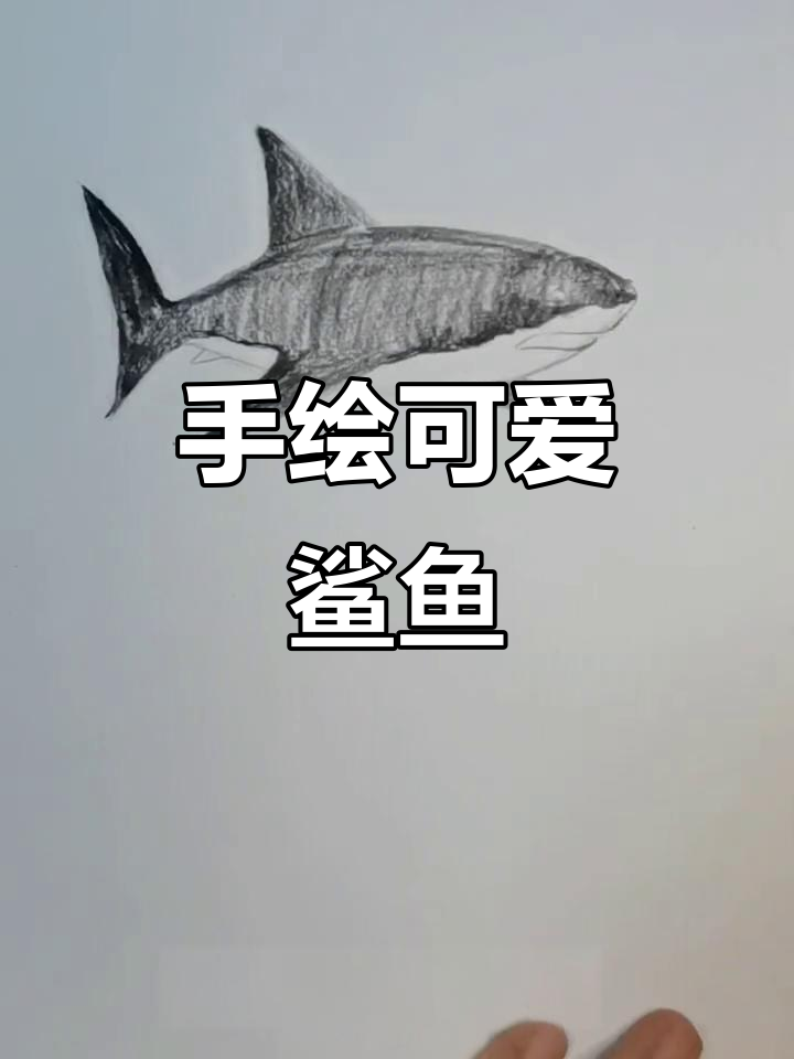 画出栩栩如生的鲨鱼，简单步骤教你轻松上手