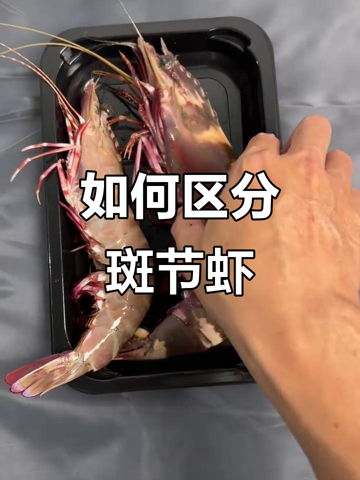 斑节虾和花虾到底有啥区别?教你分辨黑虎虾与绿虎虾