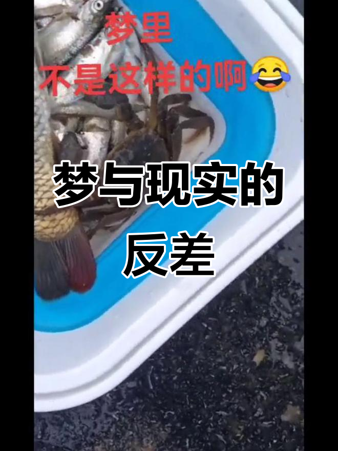 昨晚梦见鲫鱼连连,今天却空手而归,心情跌到谷底!