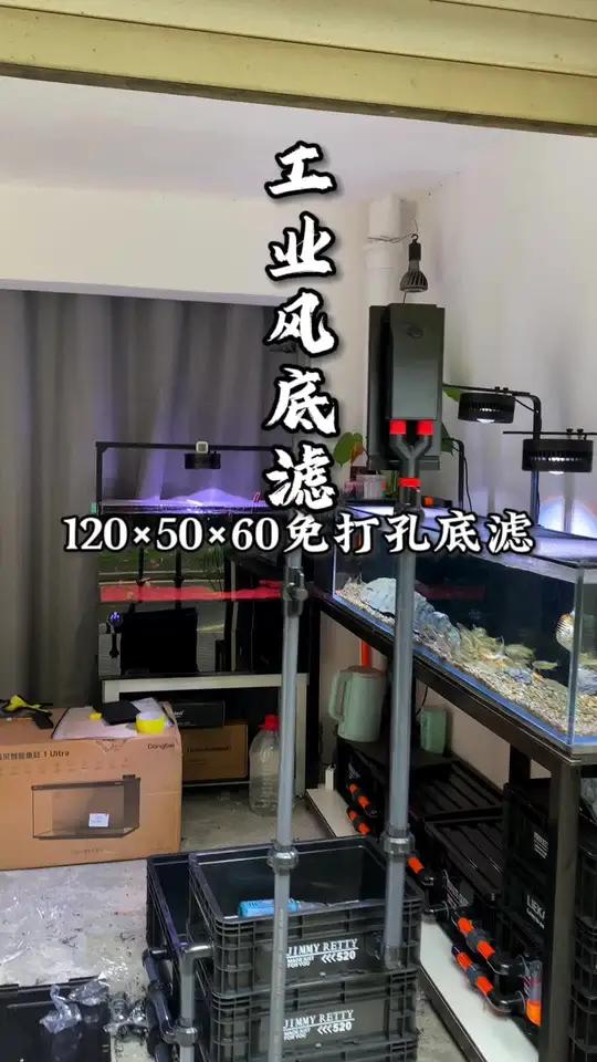 不开灯都看不见过滤器,给广东铁铁做的工业风免打孔虹吸底滤,有没有喜欢的鱼缸尺寸150×50