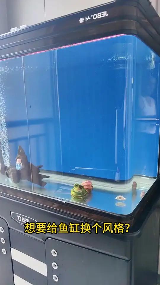 浴室变身海洋馆，防水高清窗贴太惊艳！家里养了两条小金鱼，但是没有合适的背景太单调？试试这款