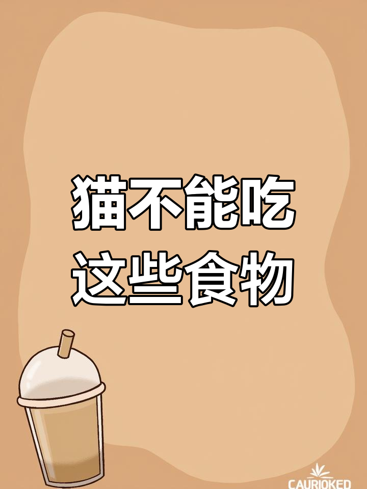 猫咪不能吃的三大禁忌食物,巧克力、柑橘和葡萄都危险