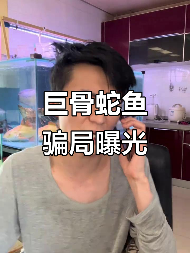 巨骨舌鱼苗竟然只要十几块?真相揭露,小心被骗!