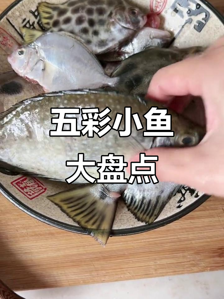 野生小海鱼大揭秘,五彩斑斓的品种你认识几种?