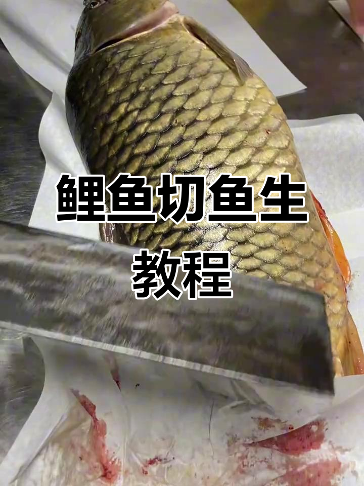 12月24日,野生鲤鱼切鱼生技巧分享