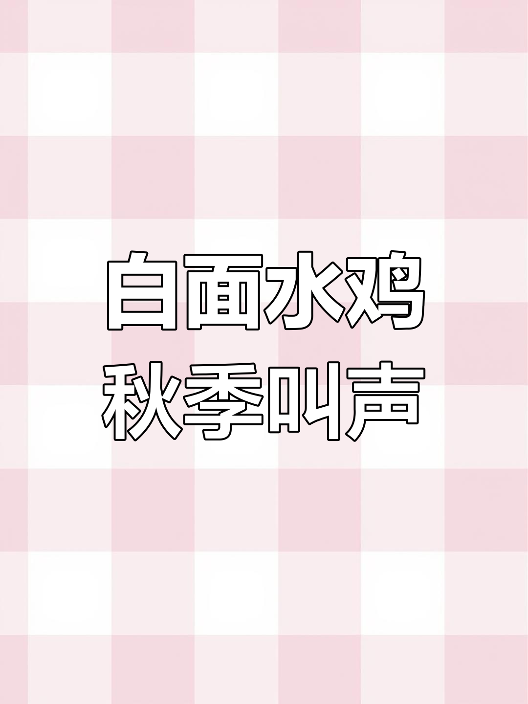 初秋白面水鸡活跃,单母鸣叫不停