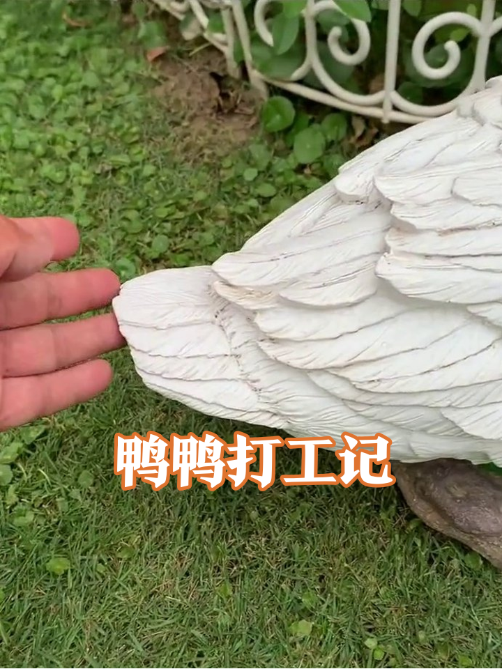 大白鸭雕像演职场:一个监工一个摸鱼,羽毛比羽绒服还蓬松