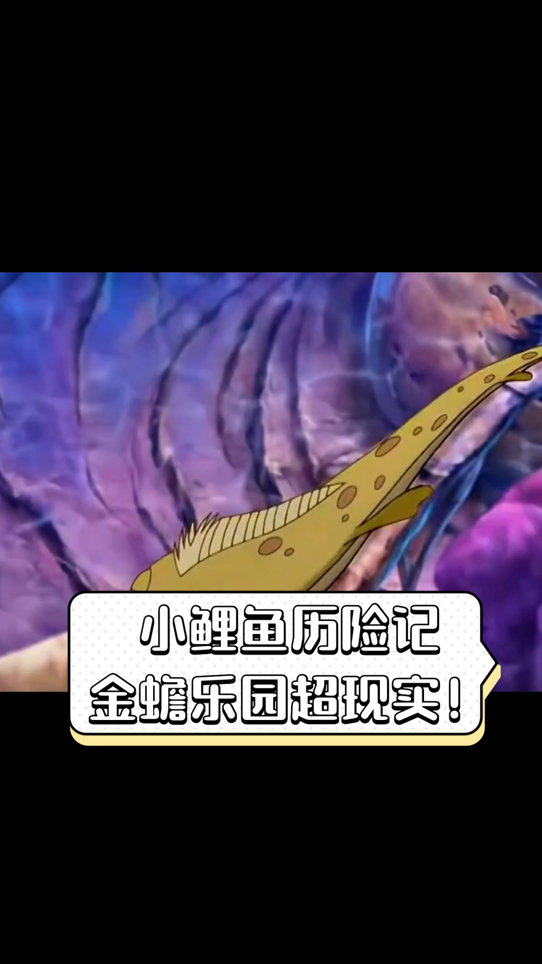 小鲤鱼历险记,金蟾乐园超现实!