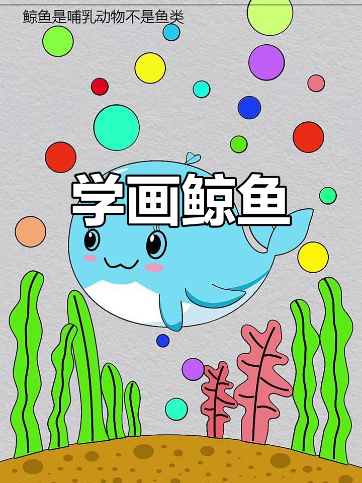 鲸鱼画法大揭秘,一起动手画出可爱海洋生物