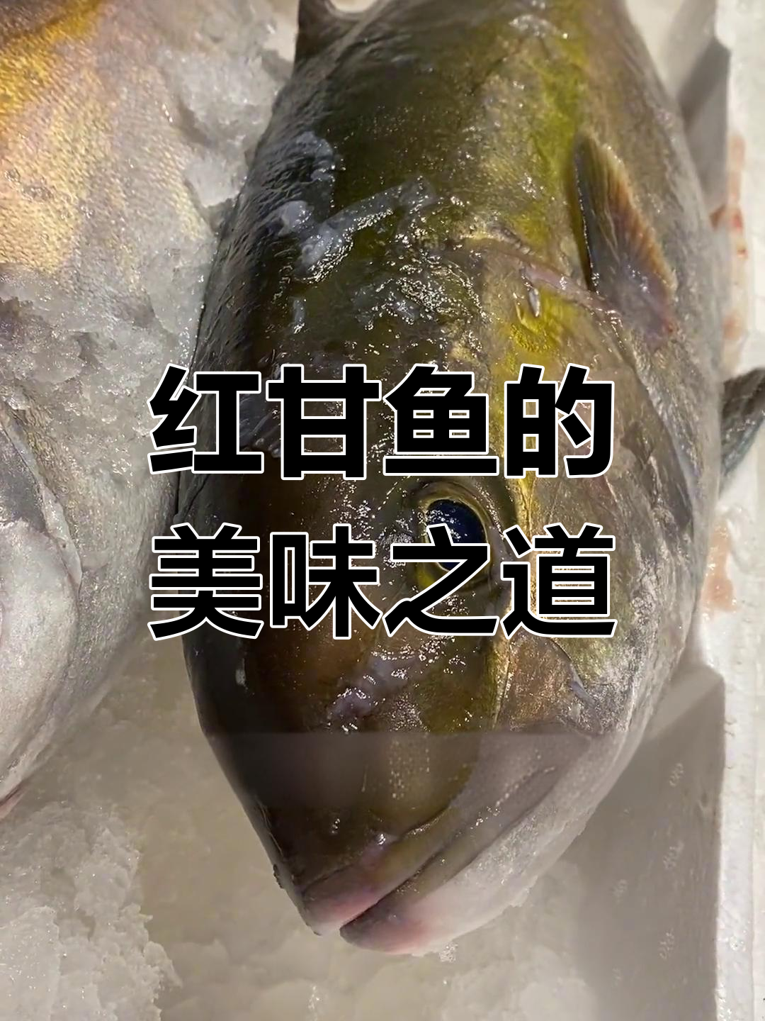 章红鱼:深海美味,十项全能