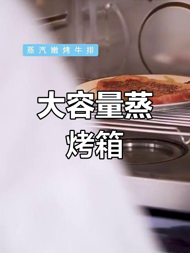 26L大容量蒸烤箱,纯蒸烤一体机,轻松搞定家庭烹饪