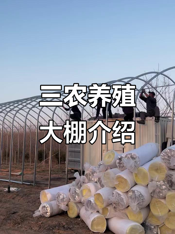 养殖大棚全解析:鸡棚、猪棚、牛棚设计要点