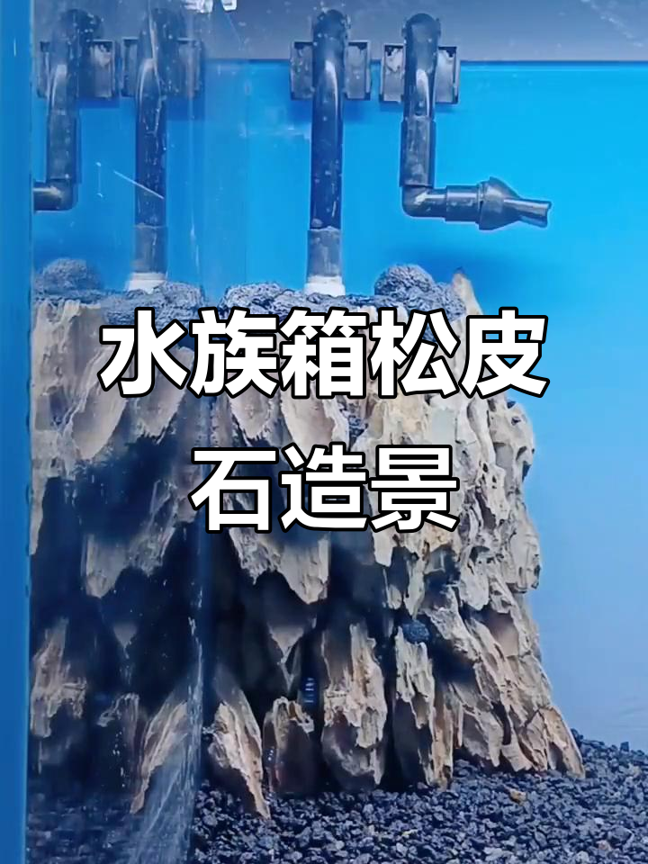 松皮石悬崖景观制作技巧，打造水族箱自然山体效果