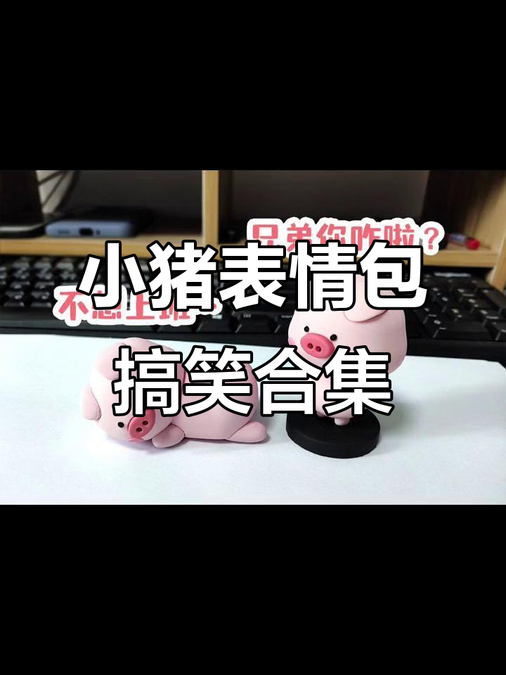 不想上班?来看看这只小猪的表情包,太搞笑了!