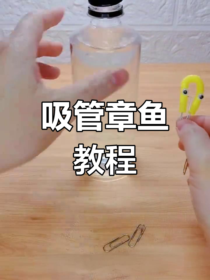 用吸管和回形针,轻松制作会游泳的章鱼!超有趣!